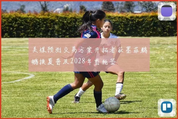 美媒预测交易方案开拓者获墨菲鹈鹕换夏普及2028年首轮签